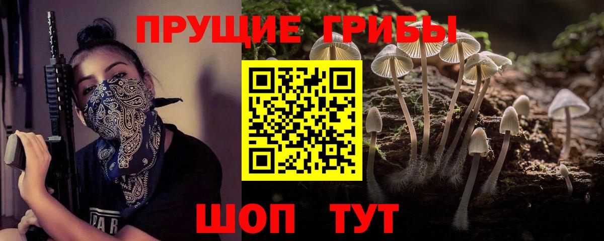 Галлюциногенные грибы MAGIC MUSHROOMS Балашов