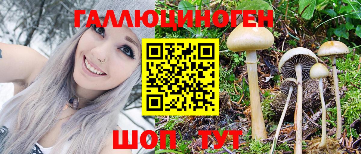 Галлюциногенные грибы Psilocybe  Вход с VPN  Балашов 